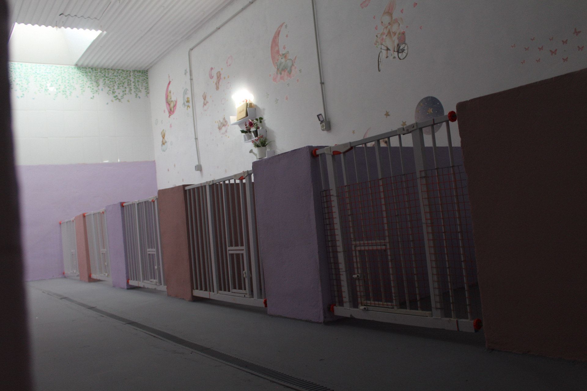 Fila de casetas para perros en una habitación con poca luz, algunas con paneles de colores, a lo largo de una pared.