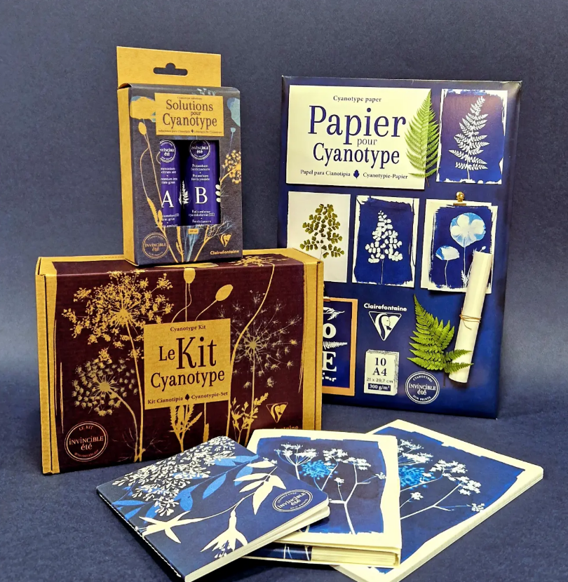 Kits et papier pour impression cyanotype, présentant des motifs botaniques bleus.
