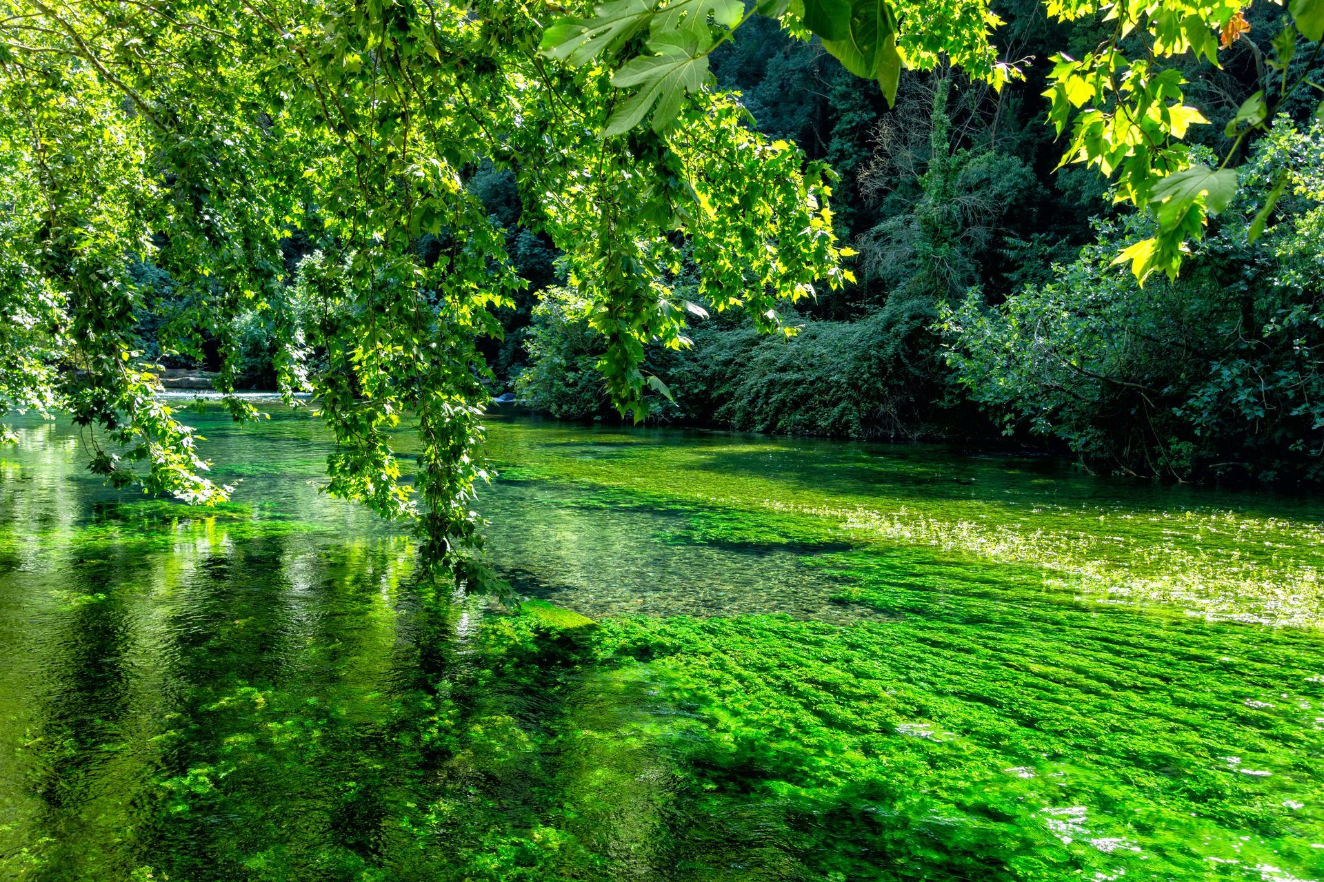 Vue d'un cours d'eau dans la ville de Vedène.