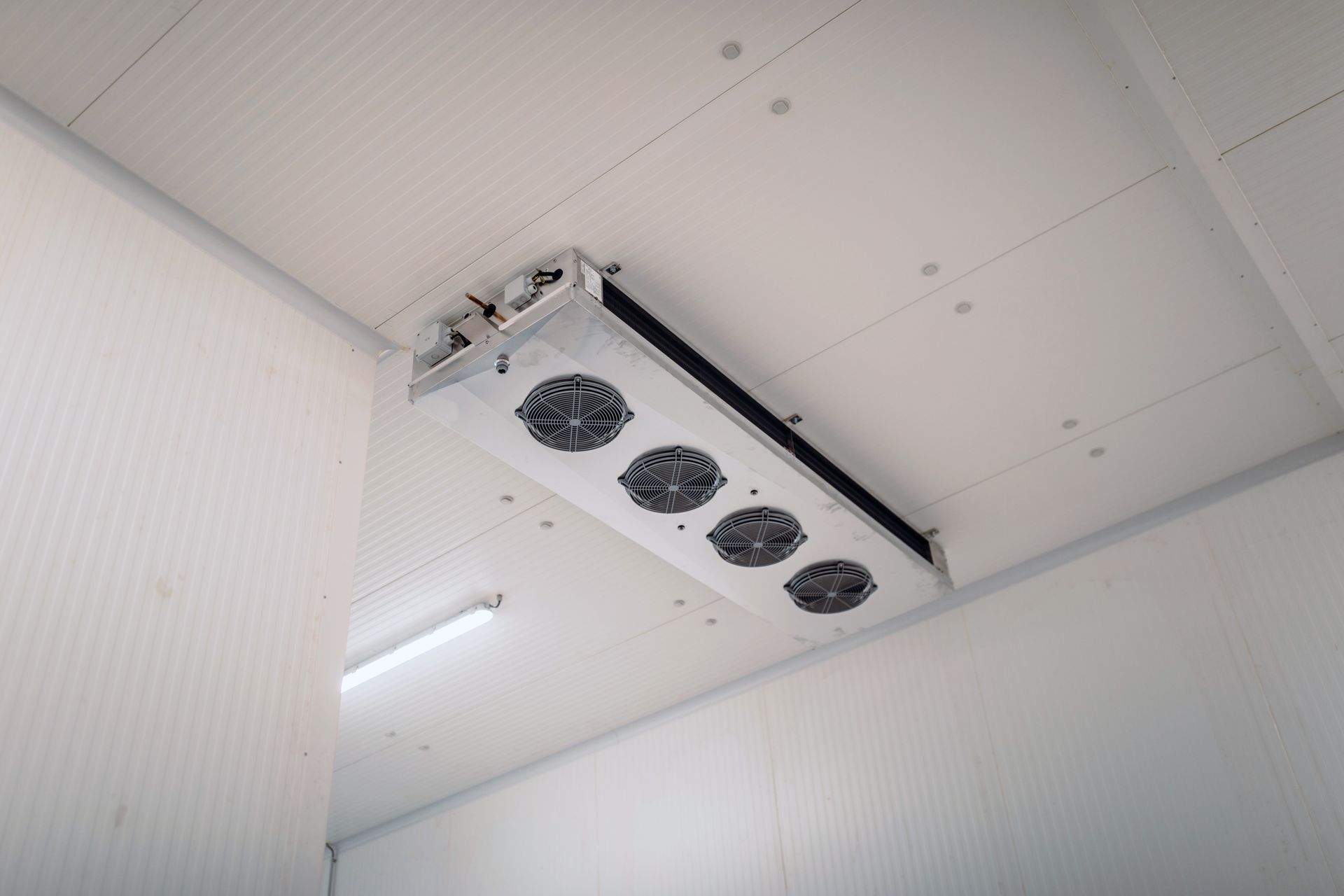 Choosing the Right Cold Room for Your Business: Cold Storage Solutions and Energy Efficiency
