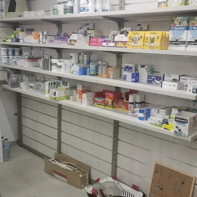 Estantes de una tienda llenos de muchos artículos diferentes.