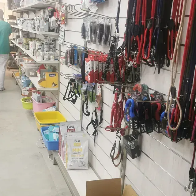 Un montón de correas están colgadas en la pared de una tienda.