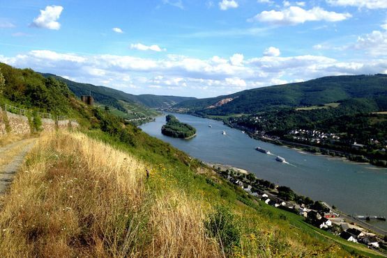 Rhein Flussbestattung