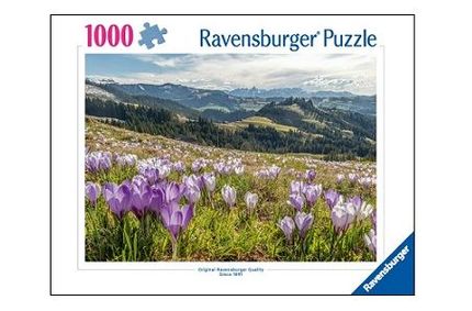 Puzzle Krokusblütenpracht Rämisgummen buchmann-ag