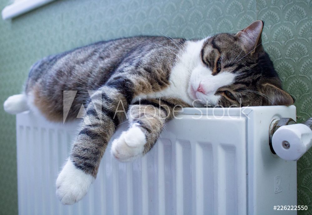 Radiateur - W.Benoit SA