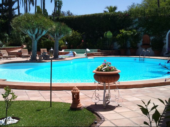 Una gran piscina con una planta en maceta en el medio.