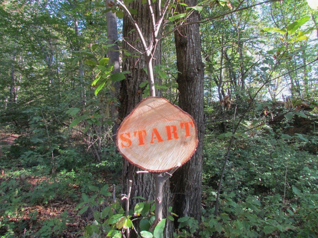 Associazione Cuore San Salvatore