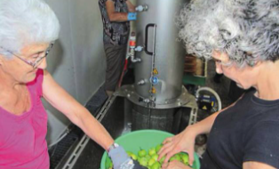 Presser ses fruits en Ille-et-Vilaine