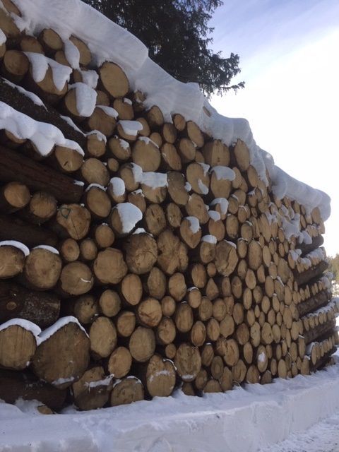 Markus Amstutz Architekt