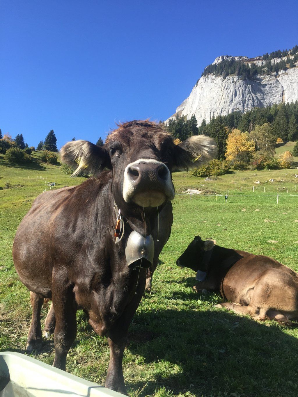 Markus Amstutz Architekt