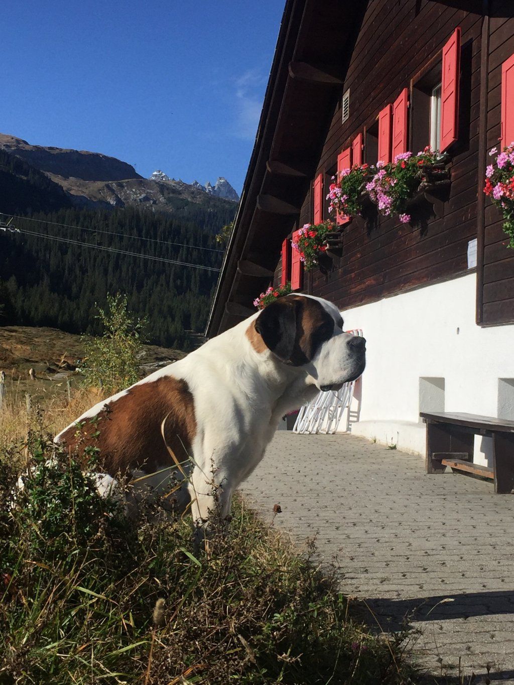 Markus Amstutz Architekt