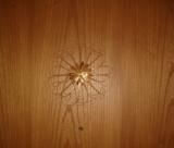 Markus Amstutz Architekt