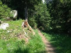 Markus Amstutz Architekt