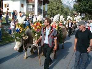 Markus Amstutz Architekt