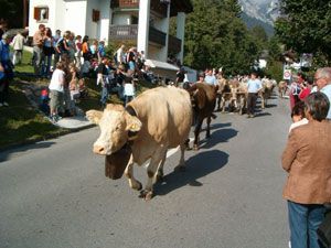 Markus Amstutz Architekt