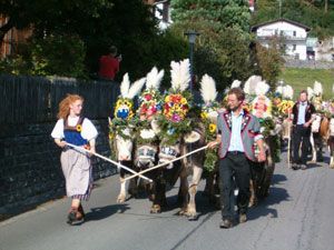 Markus Amstutz Architekt