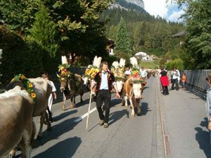 Markus Amstutz Architekt