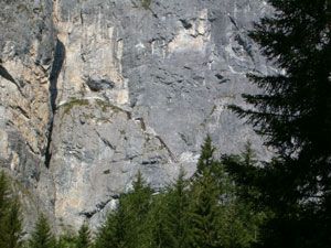 
Markus Amstutz Architekt