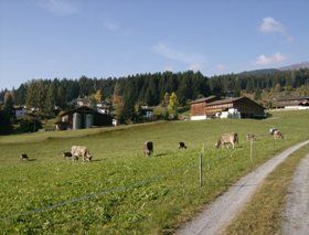 Markus Amstutz Architekt