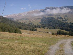 Markus Amstutz Architekt