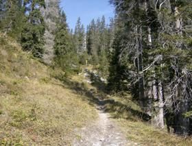 Markus Amstutz Architekt