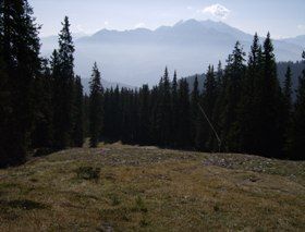 Markus Amstutz Architekt