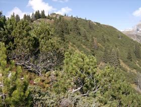 Markus Amstutz Architekt