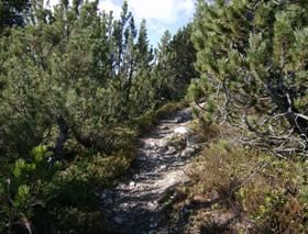 Markus Amstutz Architekt