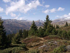 Markus Amstutz Architekt