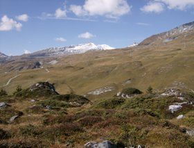 Markus Amstutz Architekt