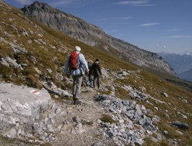 Markus Amstutz Architekt