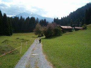 Markus Amstutz Architekt