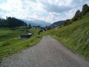 Markus Amstutz Architekt