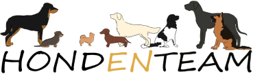 HondenTeam-logo
