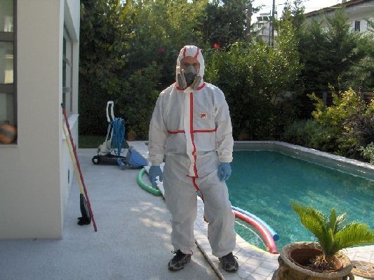 PEST SHIELD | Βιολογικές εφαρμογές δημόσιας υγείας Απεντομώσεις – Μυοκτονίες – Απολυμάνσεις Μελέτες – Εφαρμογές