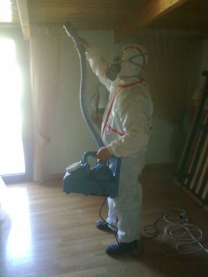 PEST SHIELD | Βιολογικές εφαρμογές δημόσιας υγείας Απεντομώσεις – Μυοκτονίες – Απολυμάνσεις Μελέτες – Εφαρμογές