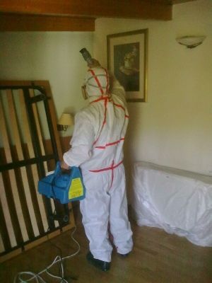 PEST SHIELD | Βιολογικές εφαρμογές δημόσιας υγείας Απεντομώσεις – Μυοκτονίες – Απολυμάνσεις Μελέτες – Εφαρμογές