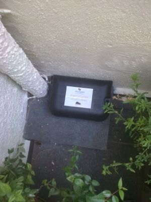 PEST SHIELD | Βιολογικές εφαρμογές δημόσιας υγείας Απεντομώσεις – Μυοκτονίες – Απολυμάνσεις Μελέτες – Εφαρμογές