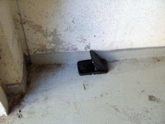 PEST SHIELD | Βιολογικές εφαρμογές δημόσιας υγείας Απεντομώσεις – Μυοκτονίες – Απολυμάνσεις Μελέτες – Εφαρμογές