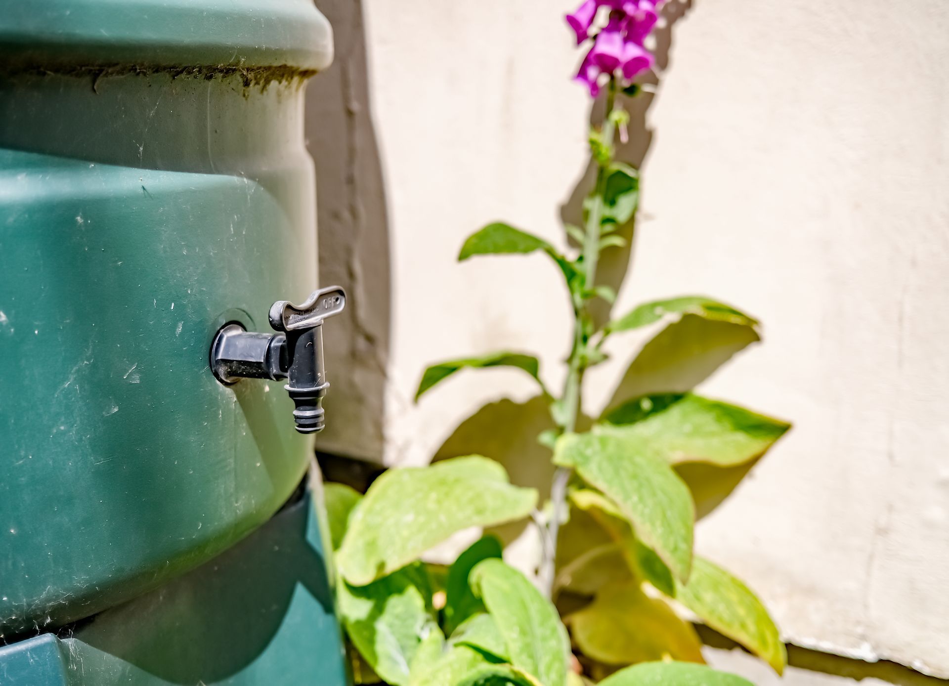 Robinet ouvert d'une cuve à eau en plastique