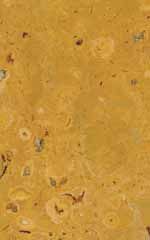 Liesberger Kalkstein Herkunft Laufen (BL)