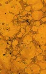 Rosso Verona Kalk Herkunft Italien - Kurt Ackermann Bildhauerei Grabmalkunst GmbH