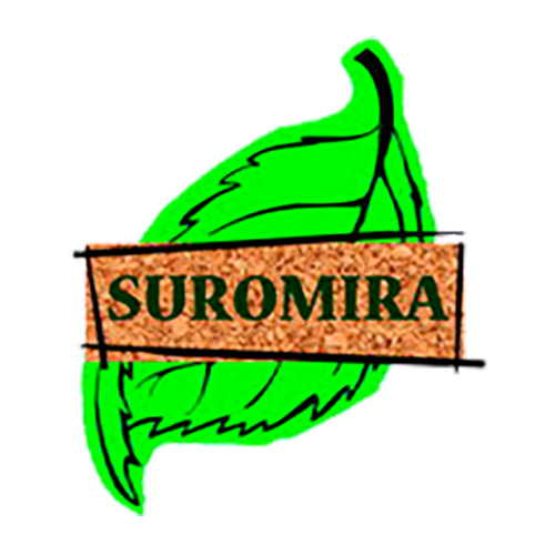 logotipo cabecera