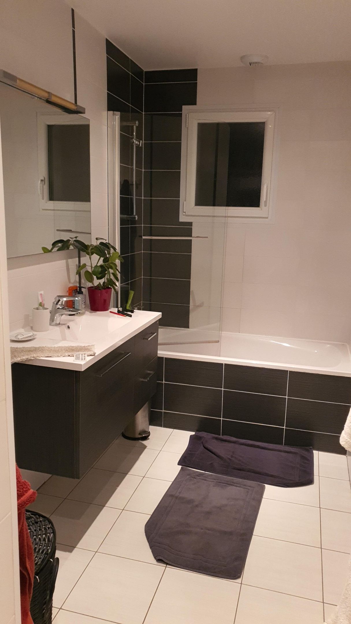 Pot de fleurs dans salle de bains noire et blanche