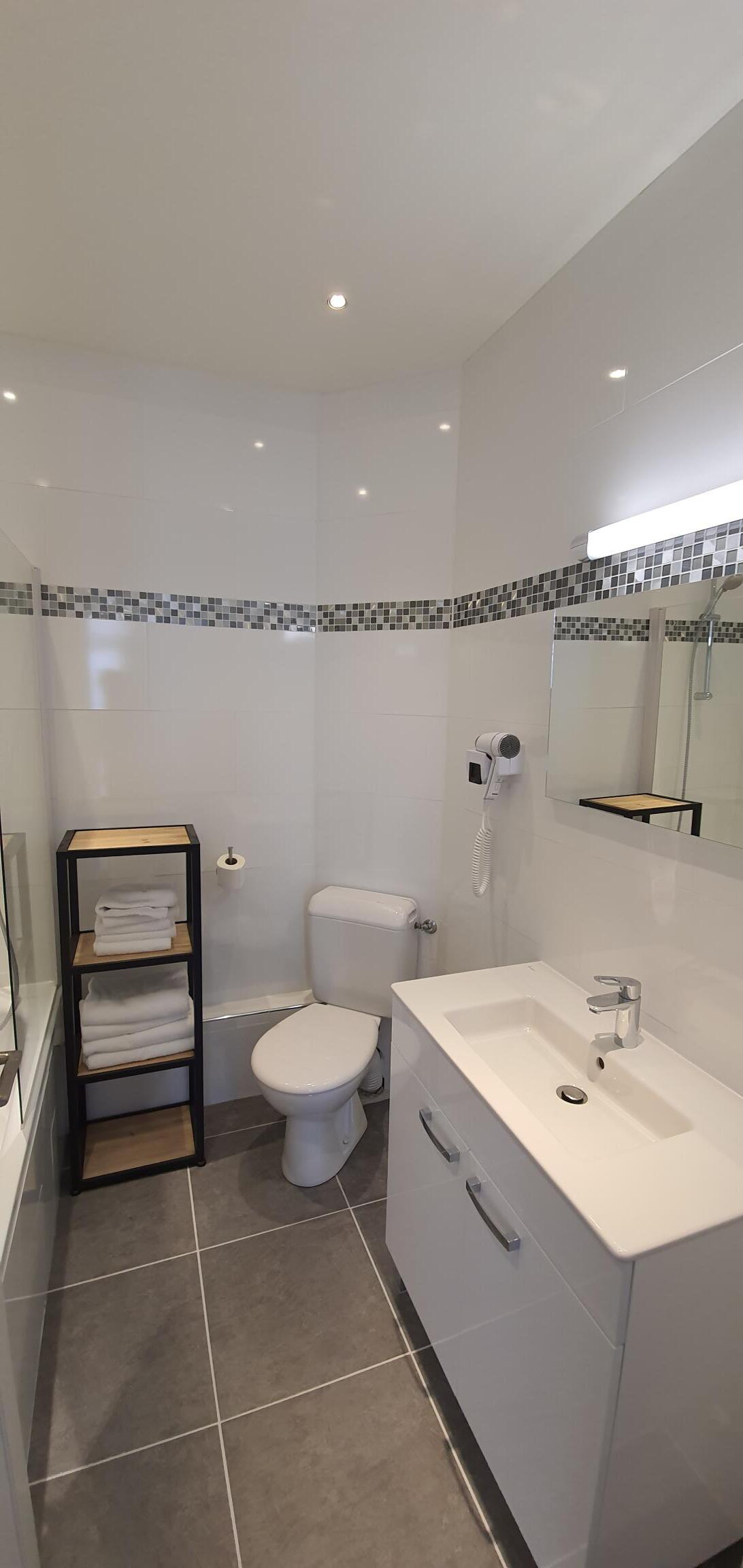 Salle de bains avec meuble de rangement, vasque, toilettes et miroir