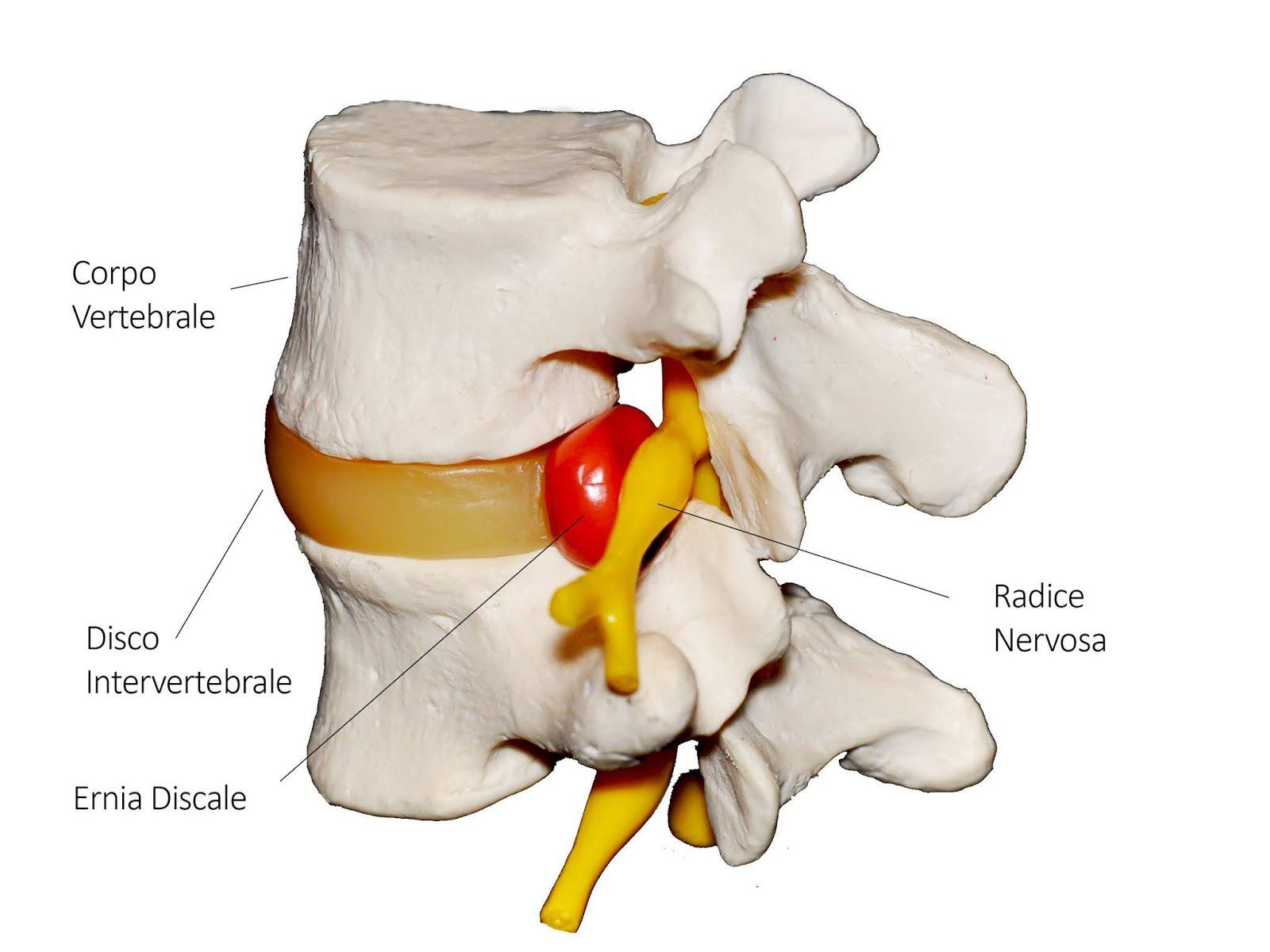 Consultazione medica a Manno, Bellinzona e Locarno
