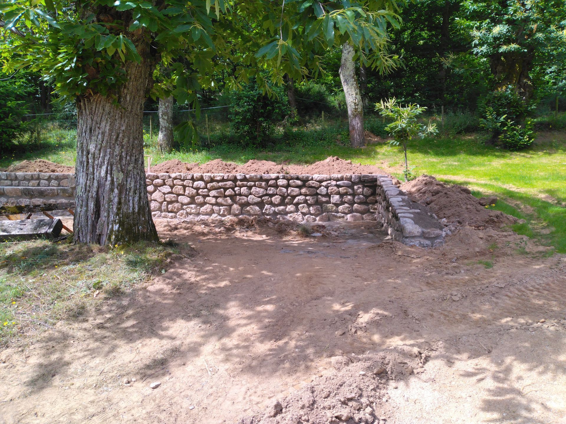 Mur de soutènement en pierre bordant un chemin de terre dans un parc boisé, avec de gros troncs d'arbres et de l'herbe verte.