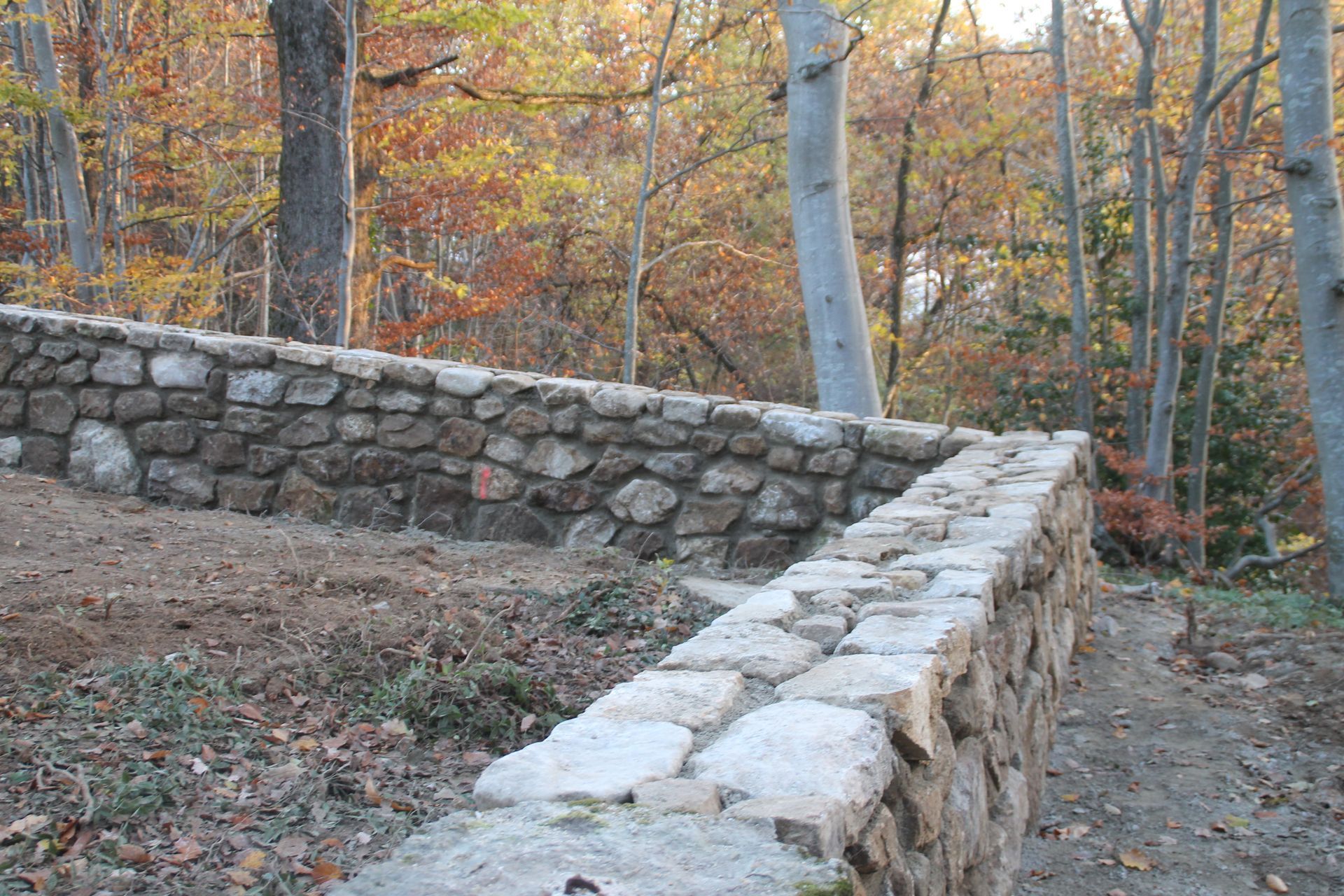Mur de soutènement en pierre le long d'un chemin boisé en automne, avec des feuilles mortes et des arbres en arrière-plan.