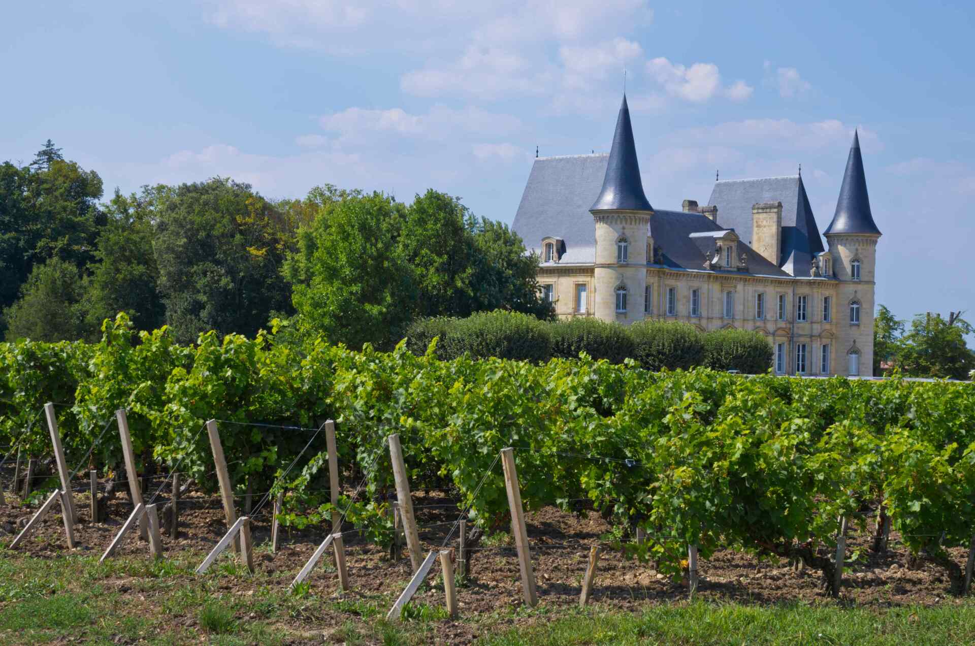 Domaine viticole avec château en arrière-plan
