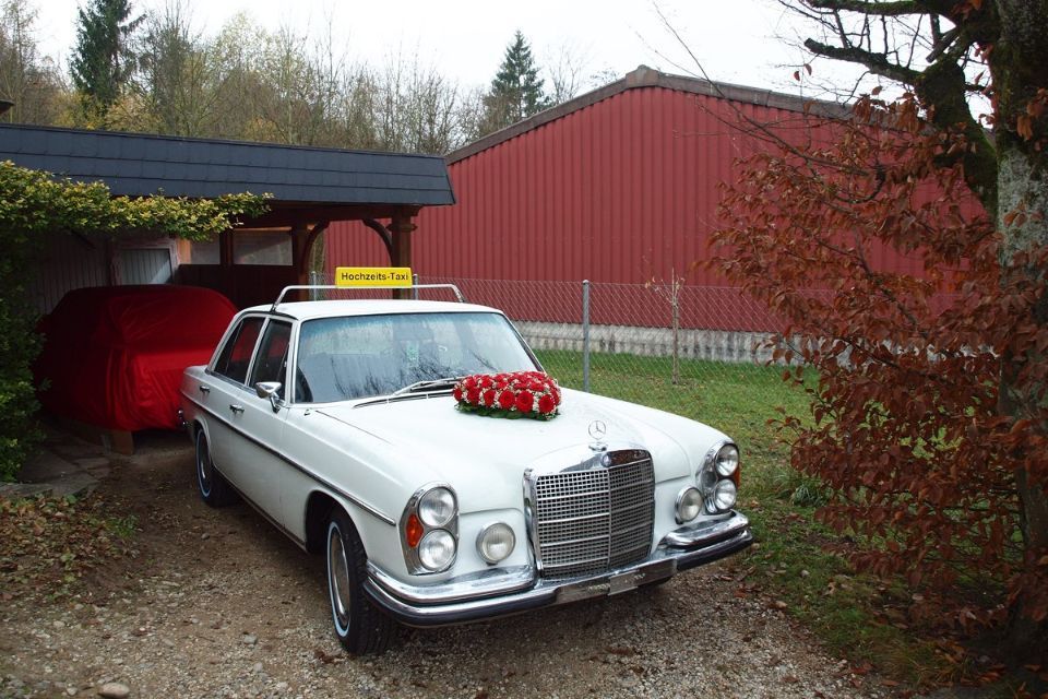 Bild Hochzeitslimousine Mercedes